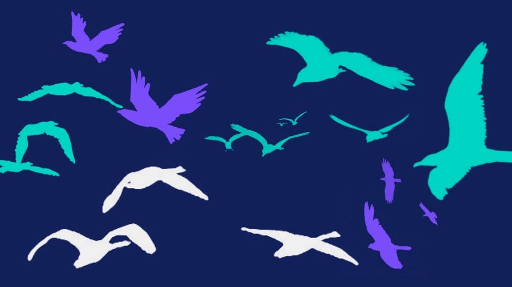 brids brush photoshop