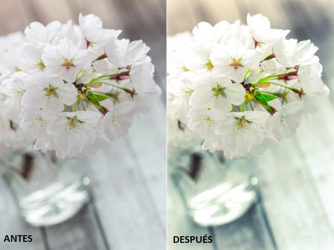 preset para lightroom