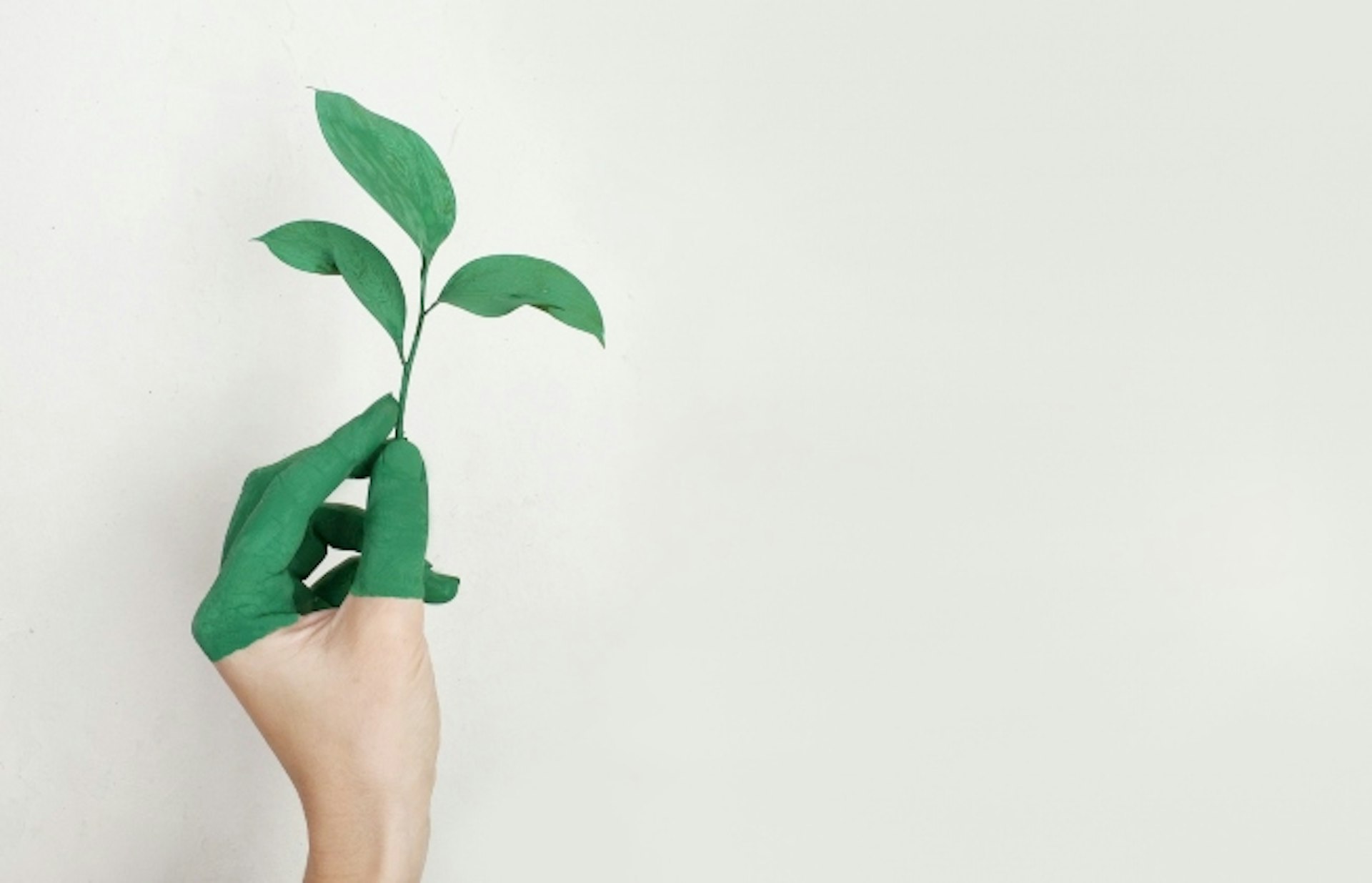 Emprendimiento sustentable y rentable, la tendencia de los negocios ‘eco-friendly’