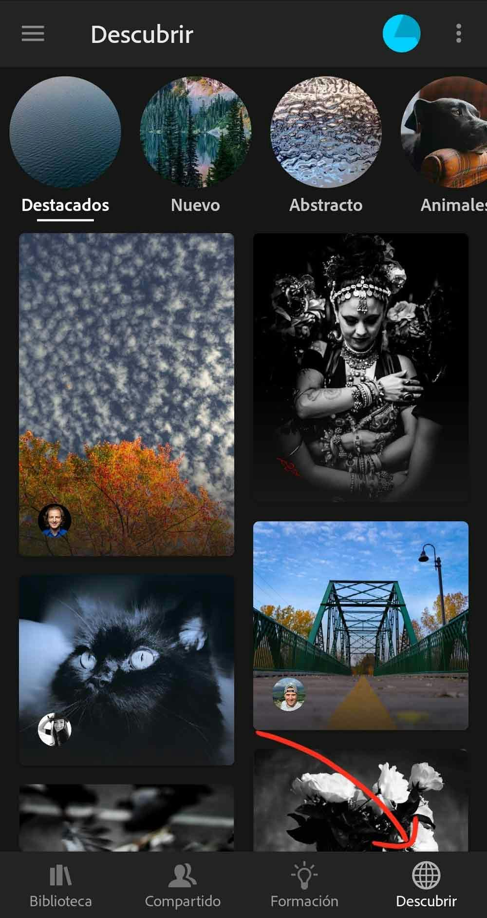 editar con Lightroom mobile descubrir