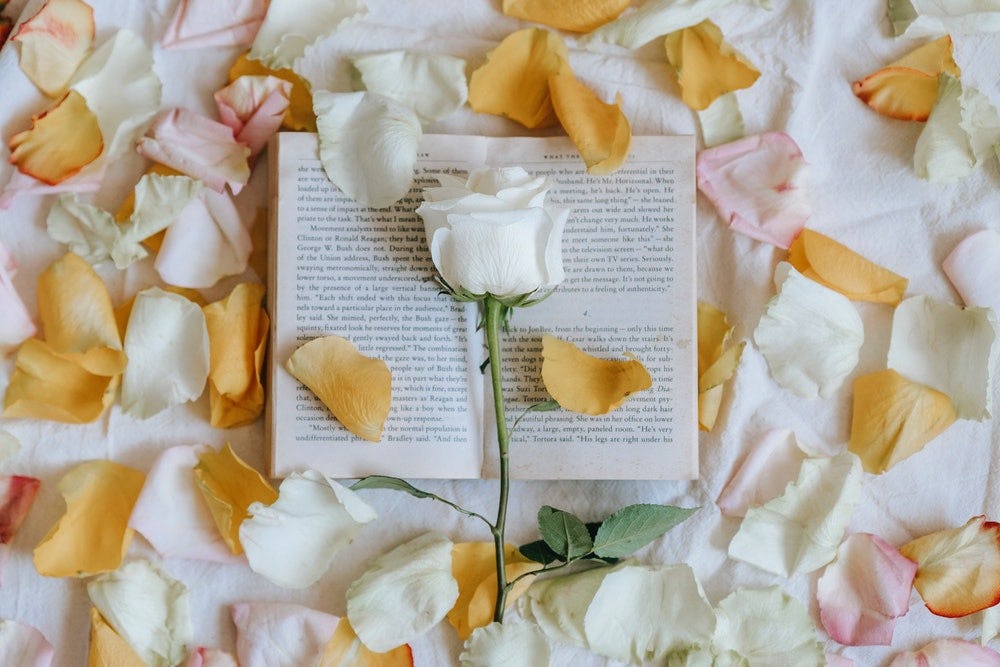 los tipós de poesia en un libro abierto con rosas y petalos