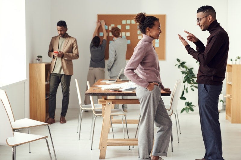 retroalimentación entre equipo de trabajo