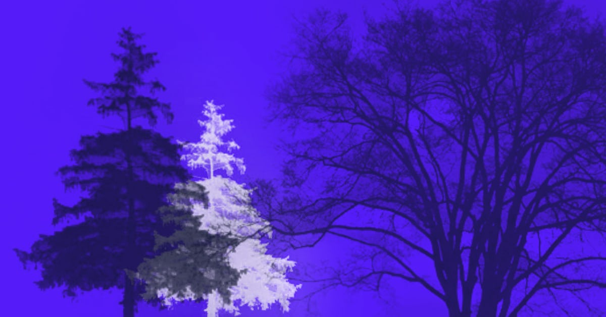 Tree brushes para Photoshop