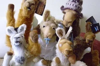 merchandising telecom