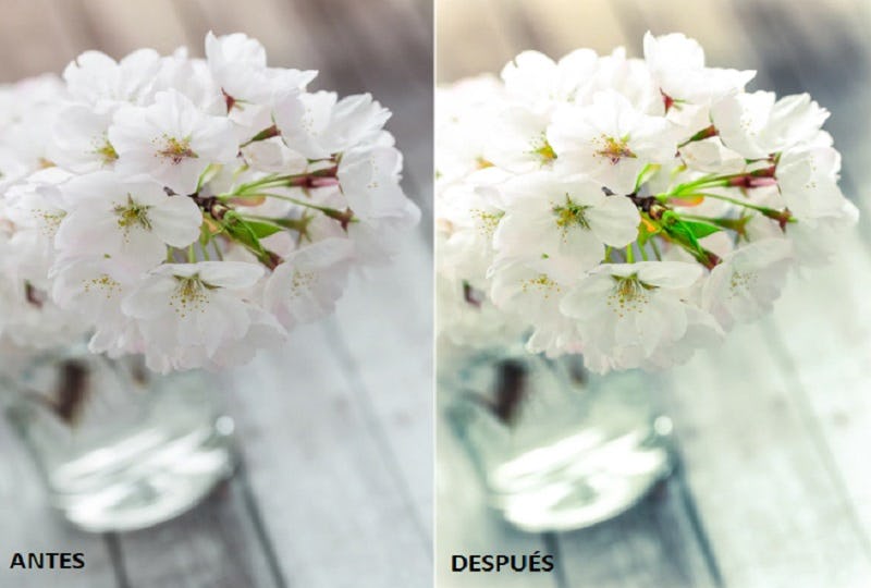 fotografía de flores reveladas con preset de lightroom