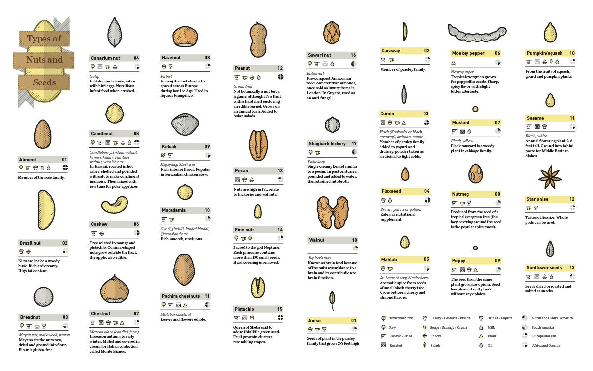 ejemplos de infografías Romualdo Faura