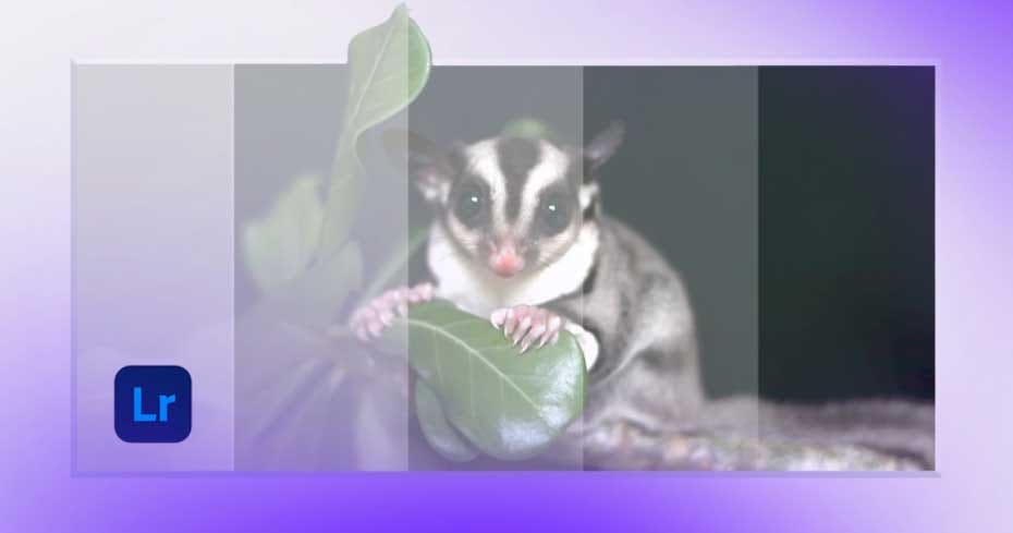 Pack de presets para Lightroom