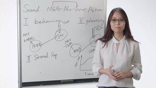 Chalk Talk idea para videos en Youtube