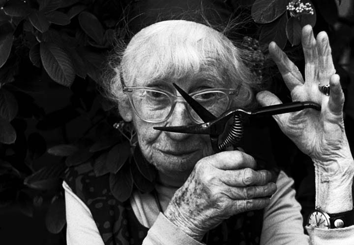 Imogen Cunningham
