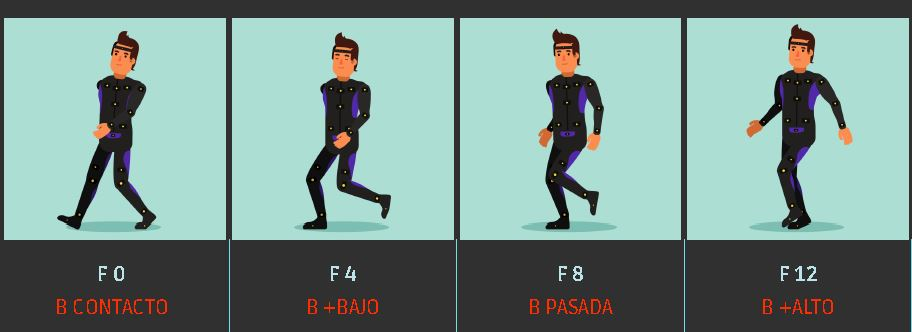 Ejemplo ciclo de caminar