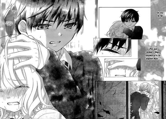 caracteristicas del manga