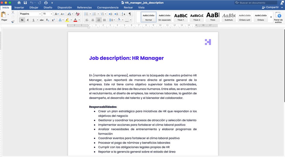plantilla de job description de HR Manager