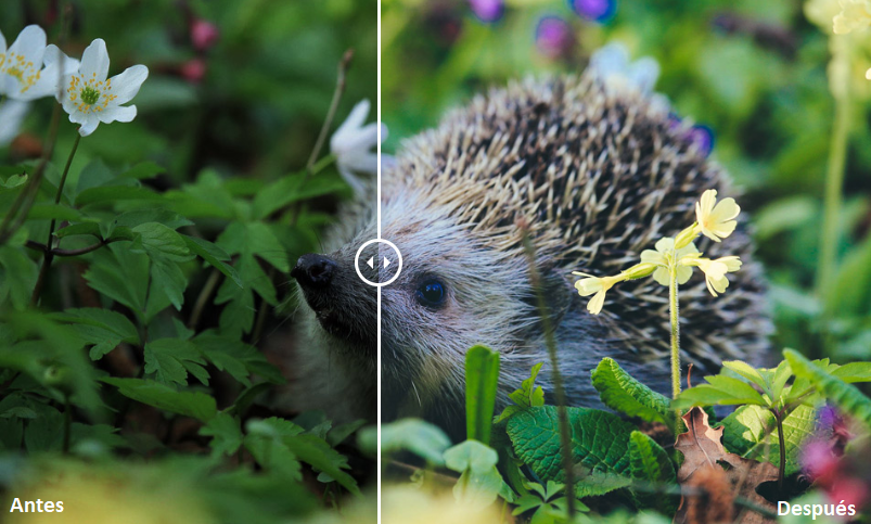 preset para lightroom spring